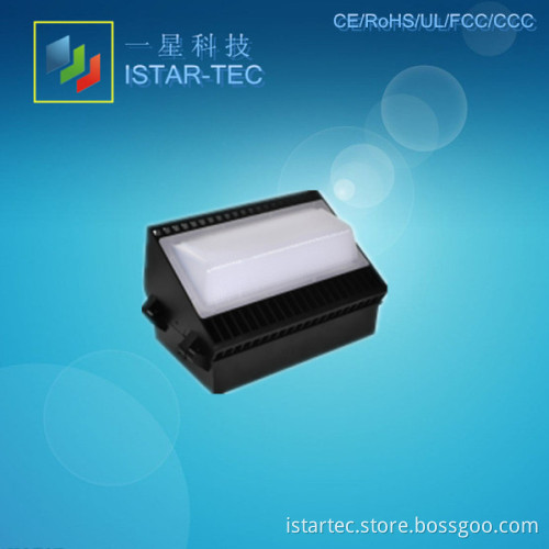 LED Wall Light (ISW-150)